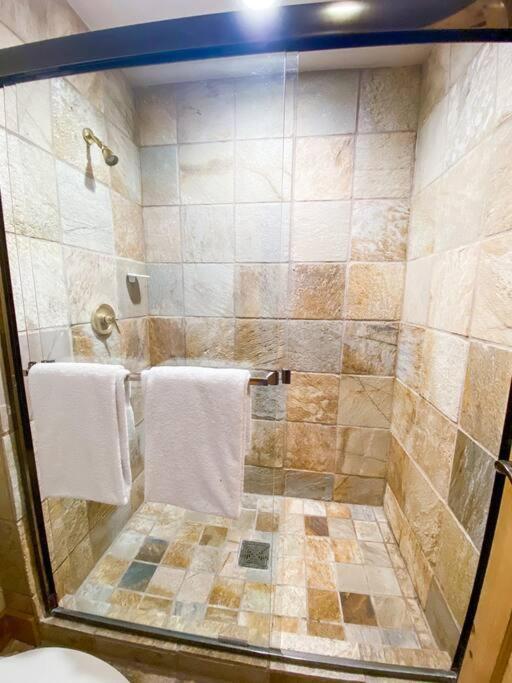 2 Bedroom Condominium - Luxury Skiin And Out Telluride Eksteriør billede