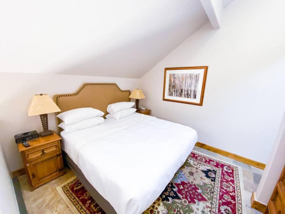 2 Bedroom Condominium - Luxury Skiin And Out Telluride Eksteriør billede